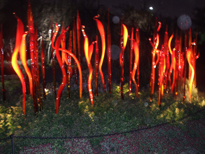 Chihuly 2012 (02).JPG